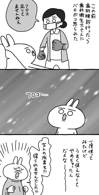 歯科衛生士さんにやれと言われたデンタルフロスが毎晩のたのしみになるまで 