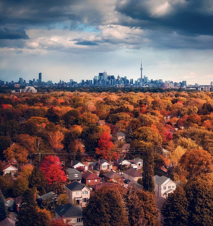It’s Thursday, October 29, 2020 🍂. Mainly ☁️ Cloudy today, with a chance of showers ☔️ and a High of 10°C. Have a great Autumn day #Toronto! 💙
📸 c/o IG: argenel 🙏🏼 https://t.co/zcS1Wu6Vnd