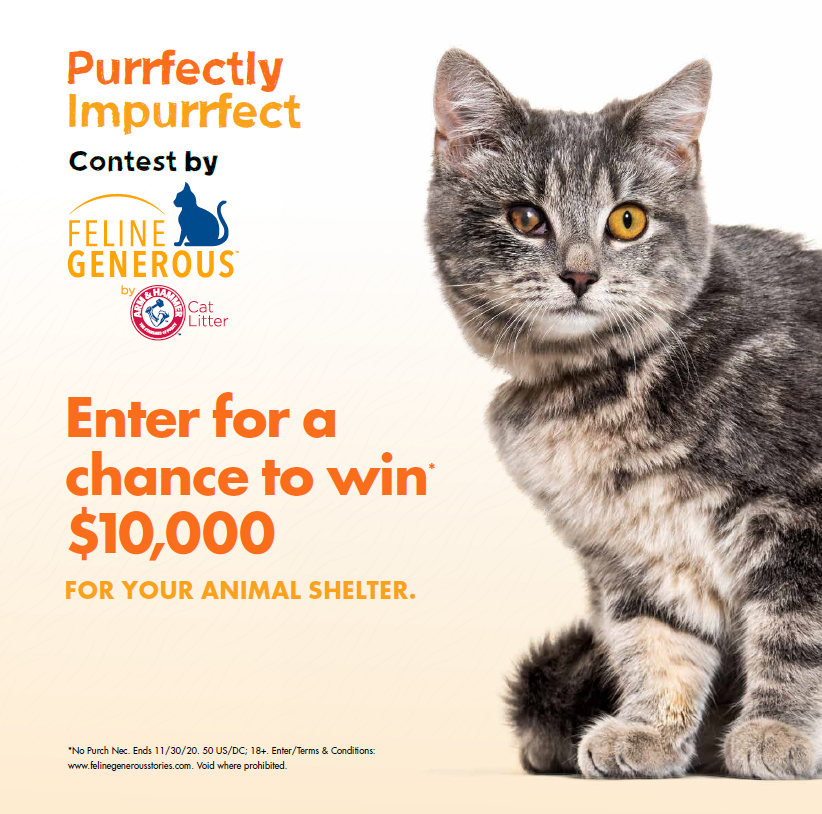 ThinkLikeaCat's tweet photo. Happy National Cat Day! So proud to be a part of the "Purrfectly Impurrfect" campaign from ARM & HAMMER Cat Litter. The winning shelters will receive $10K from ARM & HAMMER Cat Litter and my services. Go to https://t.co/8kC6S3g0El for details. #FelineGenerous #contest https://t.co/oGCAuX7E0I