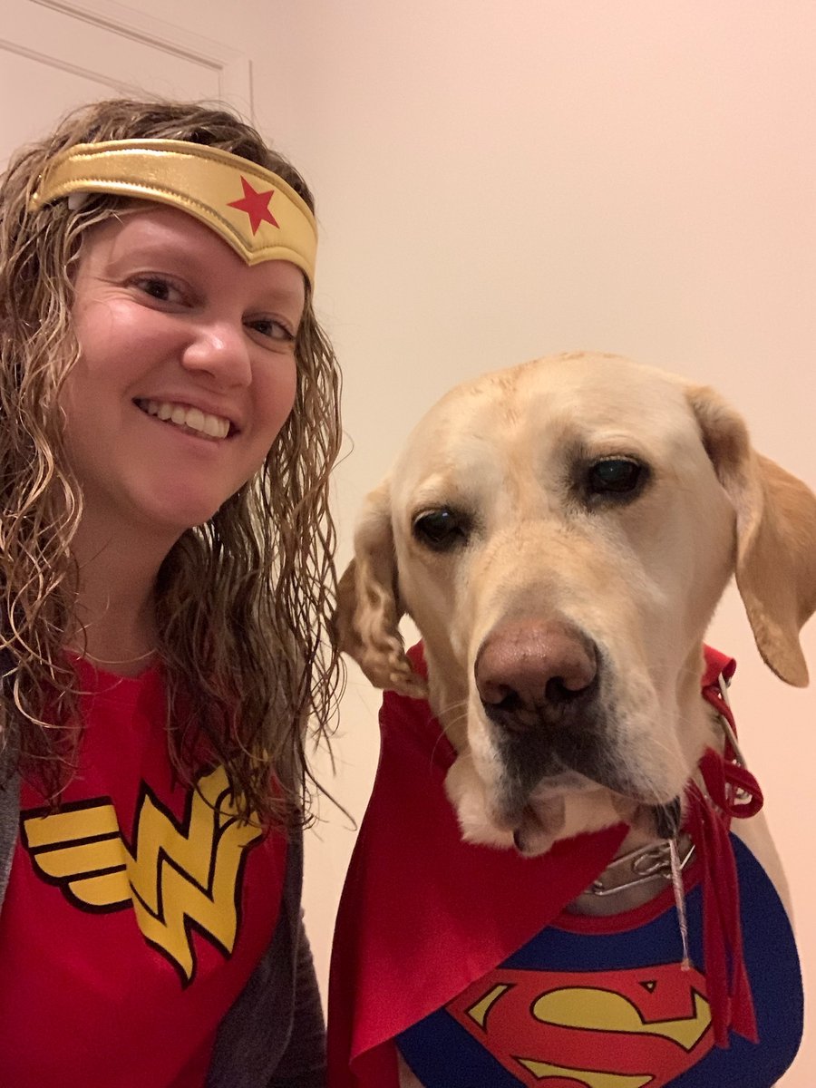 PHESgrade4's tweet photo. Ms. Roussey and her pup Aggie grabbed some of their hero squad to help save the day! Mrs. Veise and her pup MacGyver are here to lend a hand and a paw! #PHESpride #AACPSAwesome #SpiritWeek #superheros https://t.co/OpkriR11y2