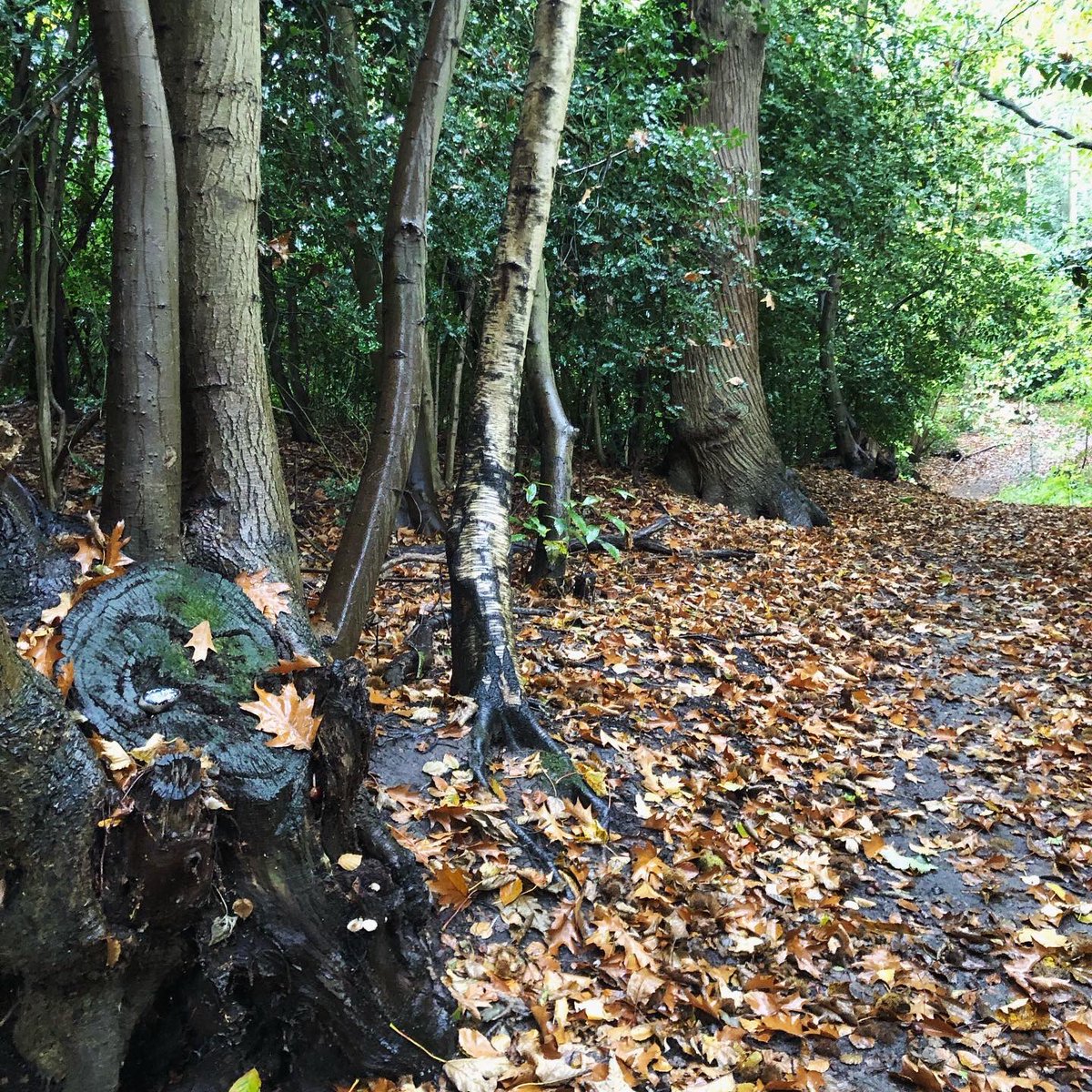 CompassionateRo's tweet image. Right now, you ARE enough.

Yep. You 💚.

#pebbleswithpurpose #compassionaterocks #compassionrocks #paintedrocks #365daysofcompassion #rockpainting #rockpaintings #kindnessrocks #kindnessmatters #paintedstones #youareenough #youarenotalone