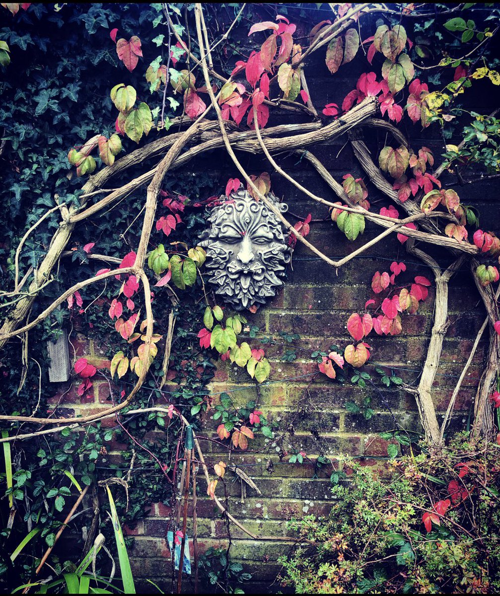 Secret garden 🌺✨