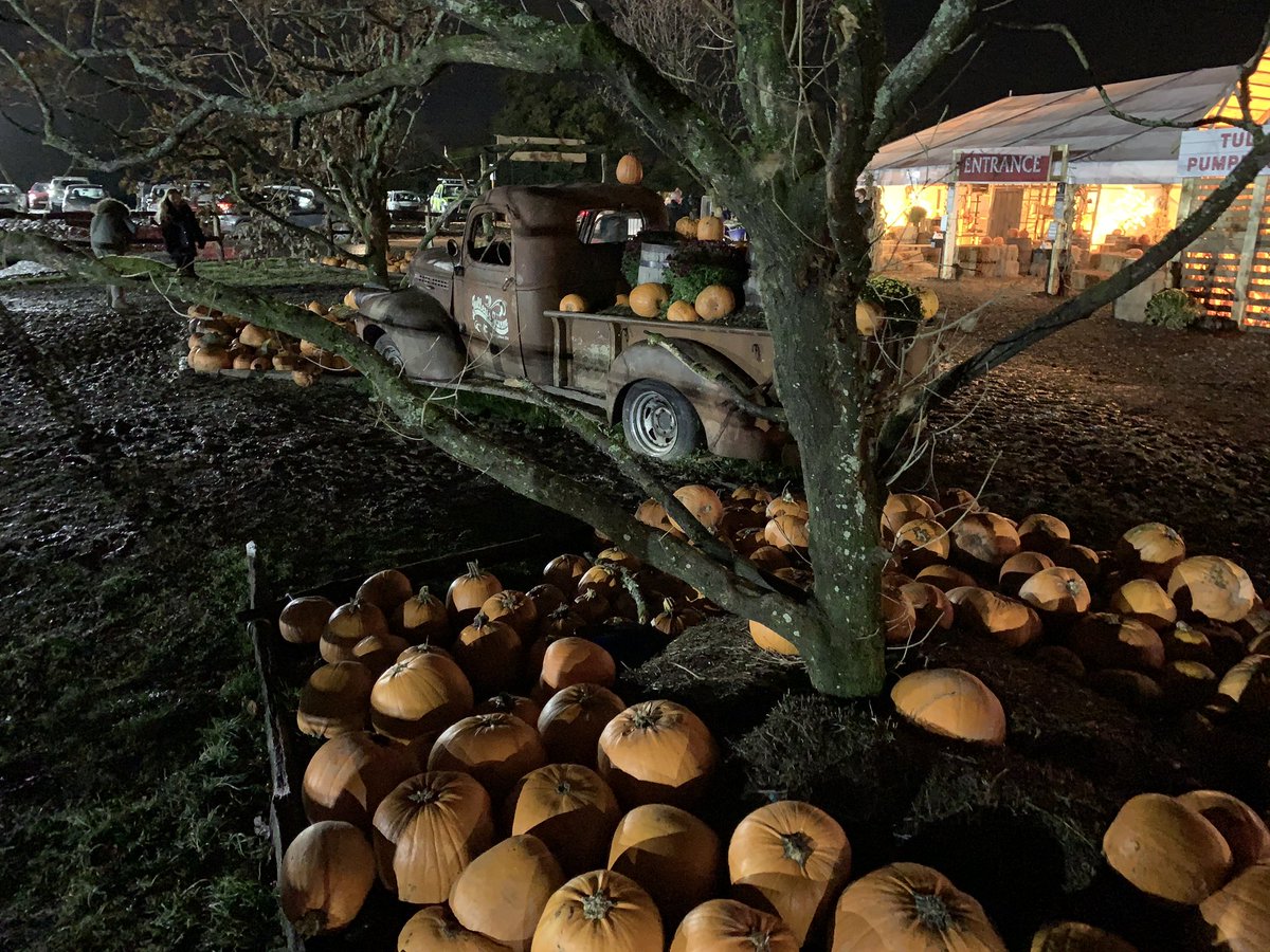 Great night last night at <a href="/Tulleys_Shock/">Shocktober Fest</a> for the pumpkin picking.
Looking forward to coming along to the haunted cinema soon.