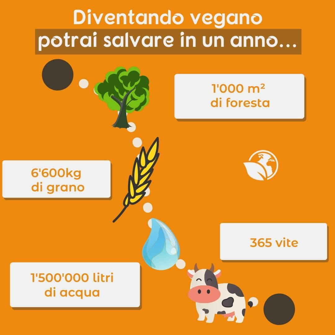 Ecco tutto che puoi salvare con una “piccola” grande scelta individuale. 🤯🌏🐖

#provegan #ioscelgoveg #govegan #goveg #animalfarming #climatechange #globalwarming #saveourplanet #vegani #nocarne #proteinevegetali #famenelmondo #allevamenti🌱