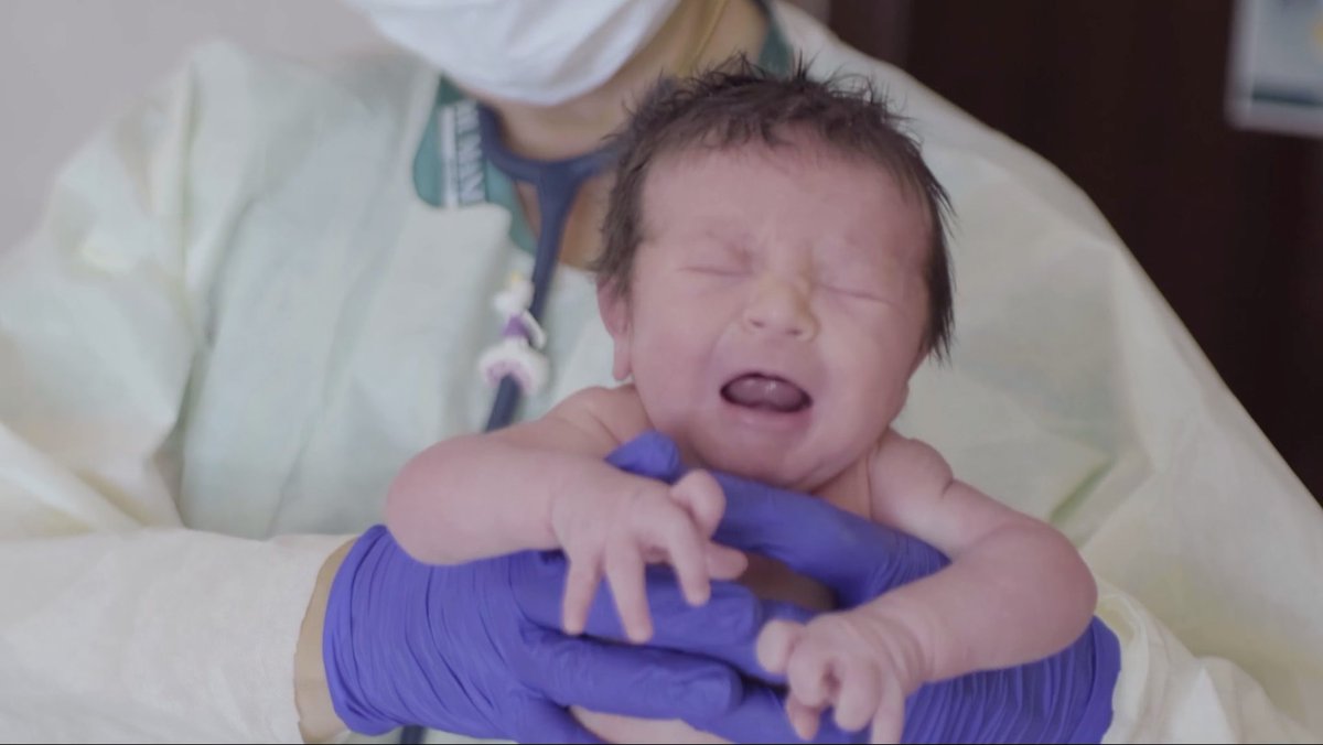 SocialContentFactory tweet media