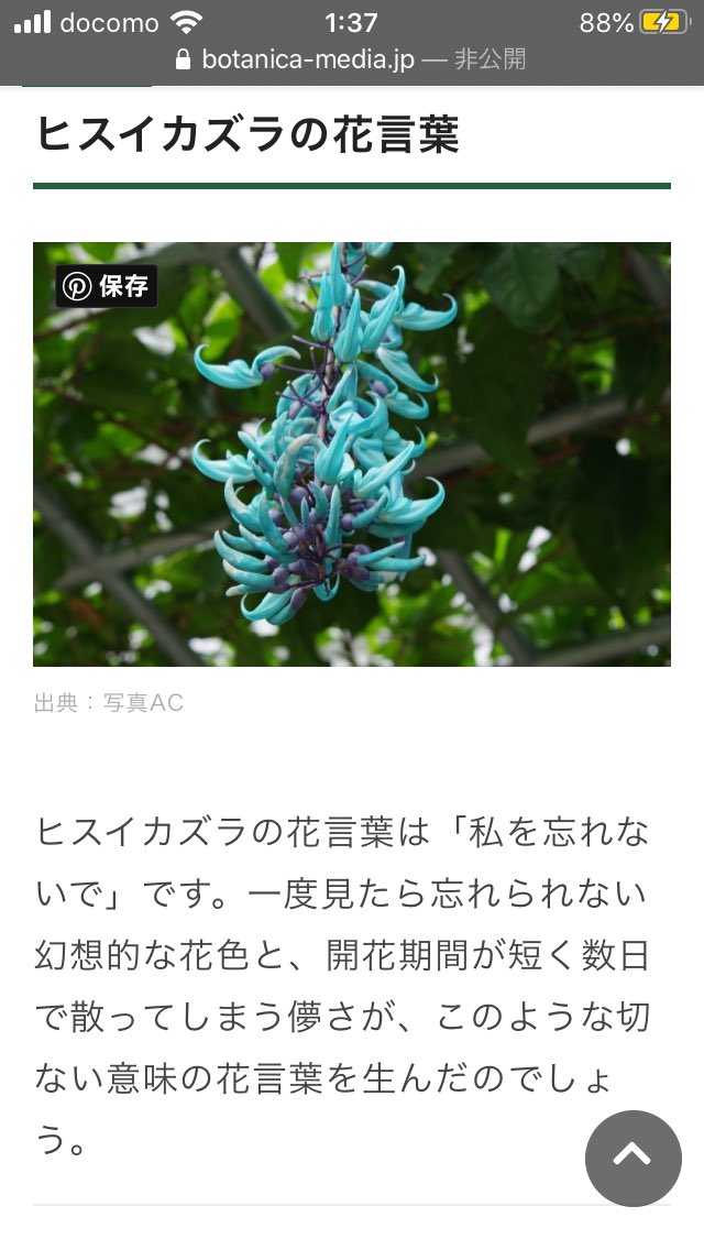 ぐ たらソウ アダチル ヒスイカズラの花言葉 話の内容とは裏腹にシリアスっぽい花言葉だな 今回はこの話というより今後に向けての花言葉なのかな この誕生日が二人にとって忘れられない思い出となってるといいな アサルトリリィ夢結 ぐ たらアニメ館