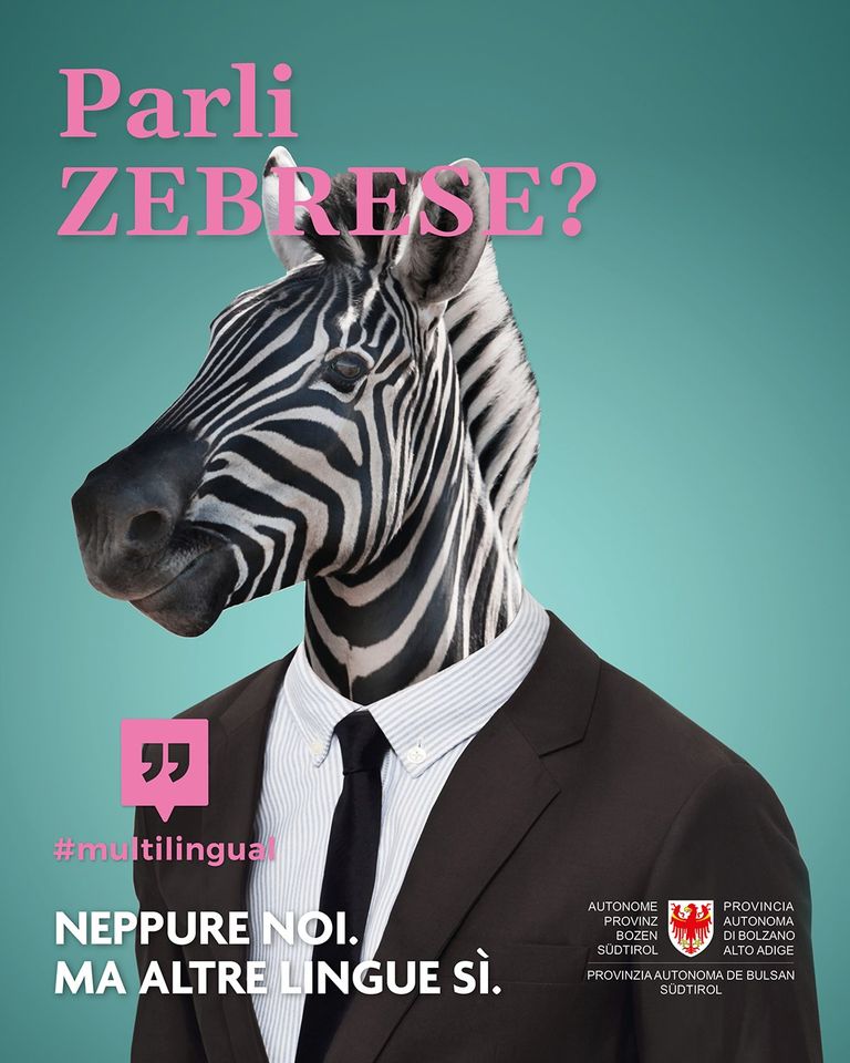 #multilingual
Bella campagna della Provincia Bolzano 🦅🦓🦁
⬇️⬇️⬇️
provincia.bz.it/formazione-lin…