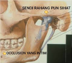 Selain aspek estetik diatas, ada sudut kesihatan penting yang perlu diambil kira untuk pastikan rawatan veneer itu sukses. Contohnya, relation antara gigi bawah dan gigi atas ketika gigi dalam posisi gigitan (occlusion) dan hubungkaitnya dengan sendi rahang.