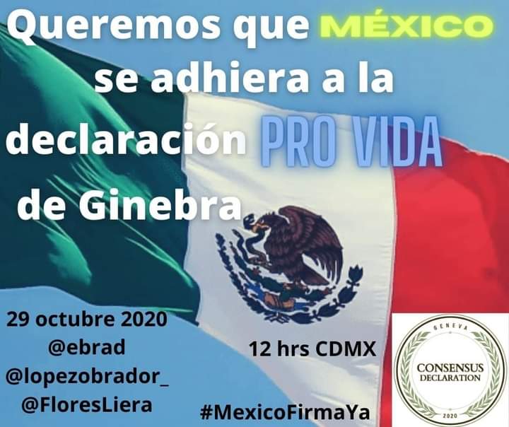Minerva68304065's tweet photo. @lopezobrador_
@m_ebrard
@FloresLiera

#MexicoFirmaYa https://t.co/lKsAAoegDa