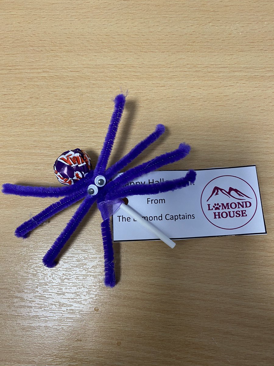 Thank you for my Lomond Halloween spooky spider <a href="/Captains_DHS/">DHS School Captains</a> <a href="/DHS_LomondHouse/">@DHS_LomondHouse</a> 🕷💜 I love it! 😃