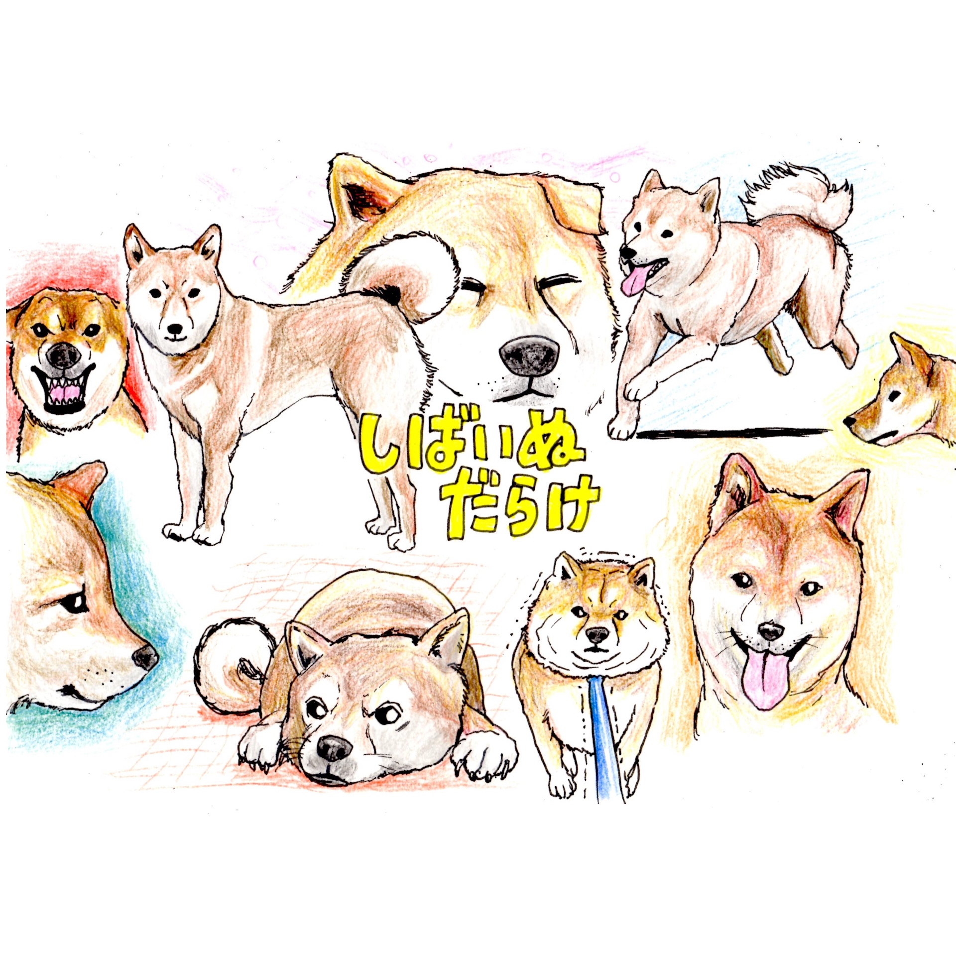 Twitter এ やまじあさこ 桃太郎のお供シリーズその1 犬 イラスト 芝犬 犬 桃太郎 色鉛筆画 T Co Job0wsej3b ট ইট র