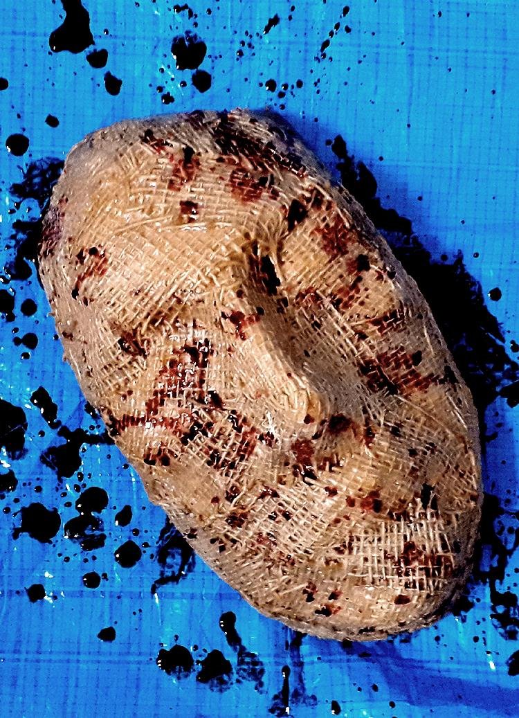 camera sd card (@camerasdcard) on Twitter photo 