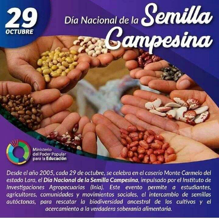 #29deoctubre #Efemeride Cada 29 de Octubre se celebrara, el Día Nacional de la Semilla Campesina. Nuestro niños y niñas participando desde sus hogares en el PTMS.  #VenezuelaUnidaYEnBatalla 
<a href="/leoalvacabrera/">Prof. Leonardo Alvarado</a> @ZE_Aragua <a href="/Marbellaluque/">Marbella Luque</a> @MPPEDUCACION <a href="/MarcoTorresPSUV/">Rodolfo Marco Torres</a> <a href="/NicolasMaduro/">Nicolás Maduro</a>