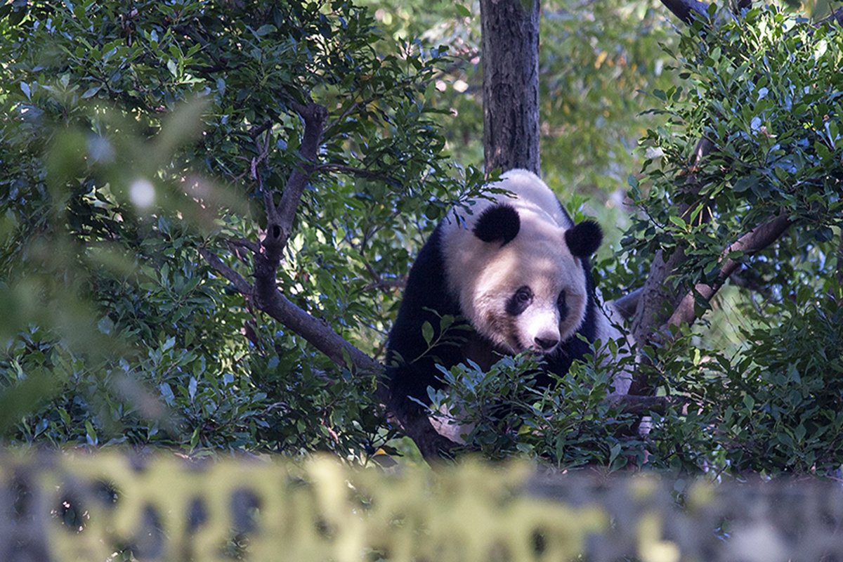 Miki Ave tweet media