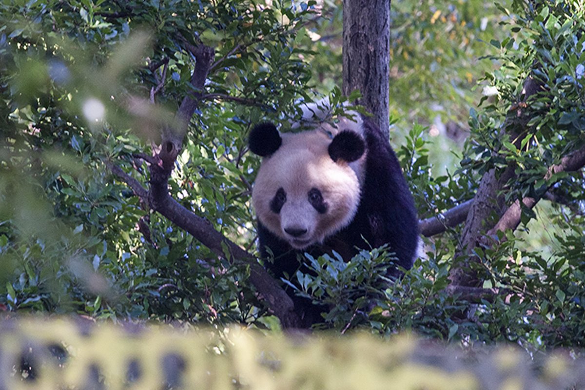 Miki Ave tweet media