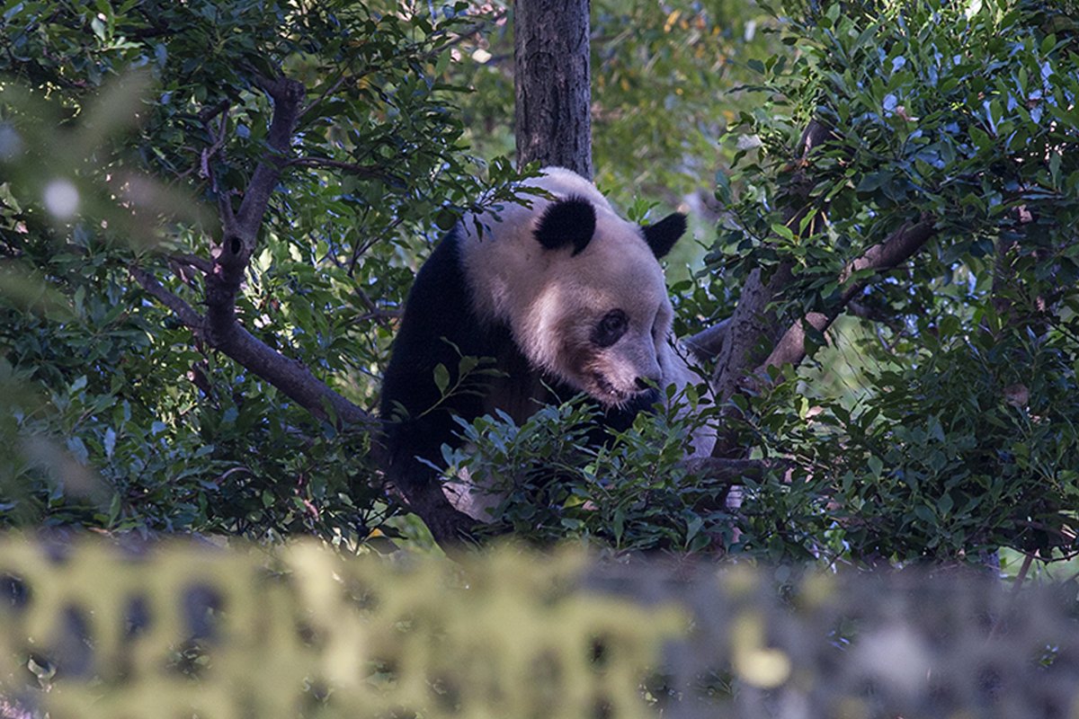 Miki Ave tweet media