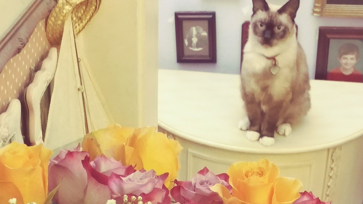 Must. Chew. Flowers. Simon, 11, is trying to resist eating the floral decor.