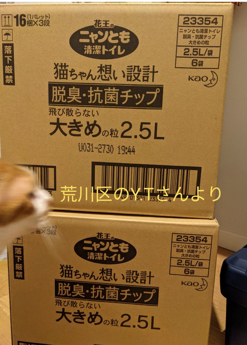 groupnyago's tweet photo. 中々ご報告ができなくてすみません。
２日前に荒川区のY.Tさんよりにゃんともトイレチップが2箱も届きました。
このようなトイレ用品のご寄付は本当に助かります。
誠にありがとうございました。
皆さんも大変なところ、私の保護猫たちの為に援助して頂けること
心より感謝しています。#保護猫 https://t.co/rJyP5GDShF