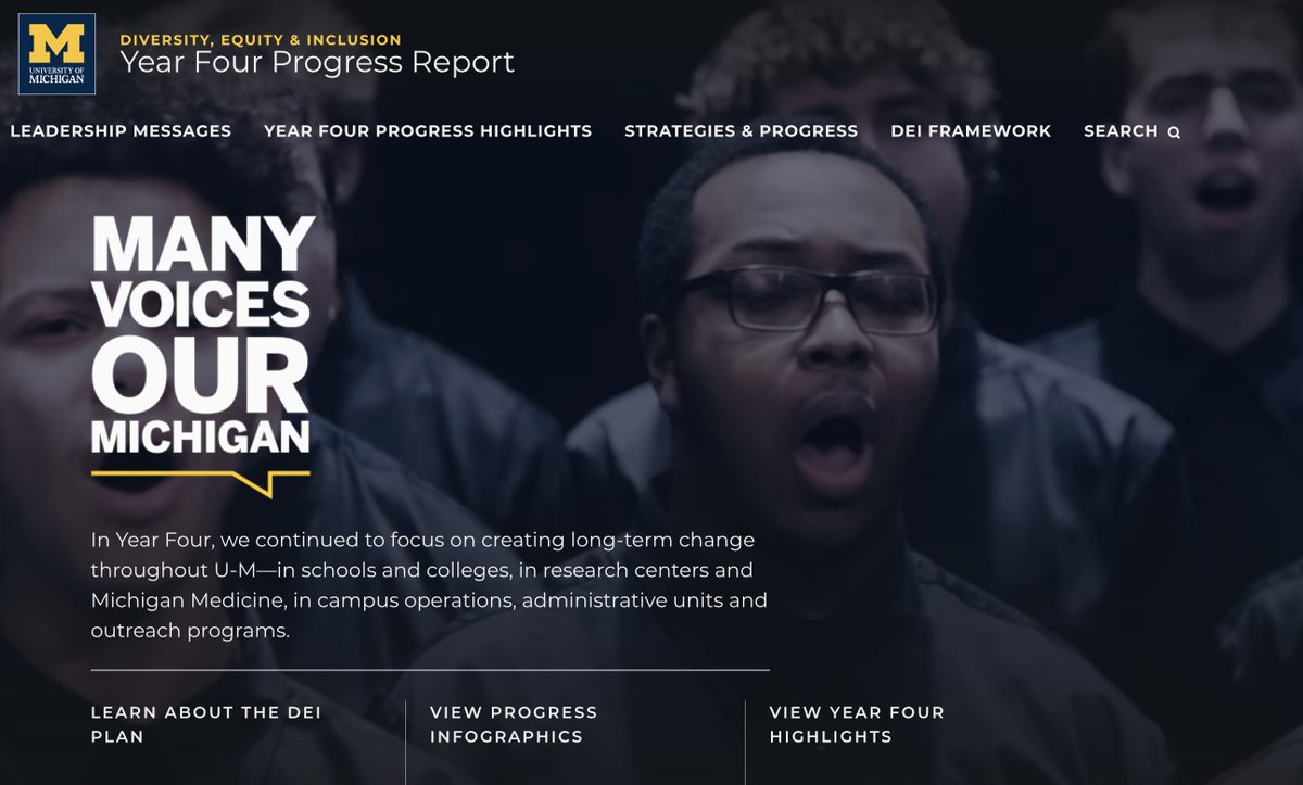 UMichDiversity photo