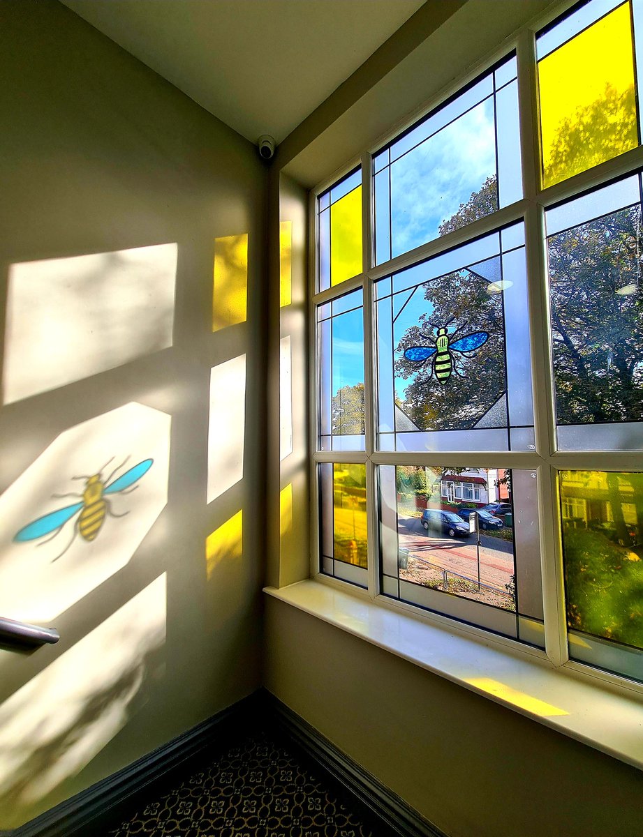 This is our stunning #ManchesterBee window casting 🐝 onto the wall!  #mentalhealth #Manchester #staystrong thanks to punchpropertyrepair.co.uk for supplying it!