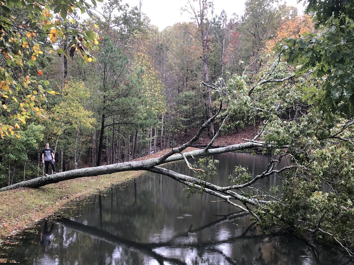 PamRountree's tweet photo. On a good note, hurricane Zita gave me some great destructive forces examples for science I can share with Ss! 🤷♀️ @cobbscience #destructiveforce #hurricaneZita https://t.co/jeYm5dDY8E