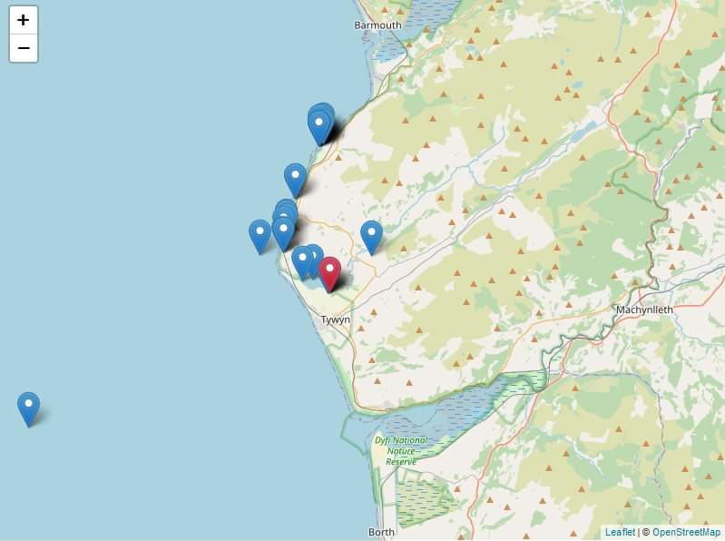 GrunderbirdsRgo's tweet photo. Polish ringed curlew yellow flag 49P knocking around Tywyn and the Dysynni. I was there a few days before this was sent to me, wonder if I overlooked it! Interesting route it took to get there... @BTO_Cymru @birdsinwales @BiOMEecology https://t.co/cp64ZEN4i2