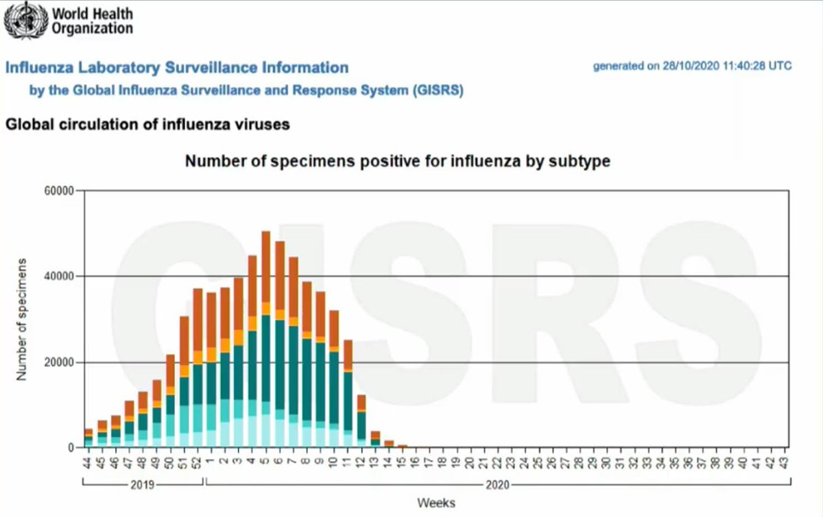 David Icke tweet media