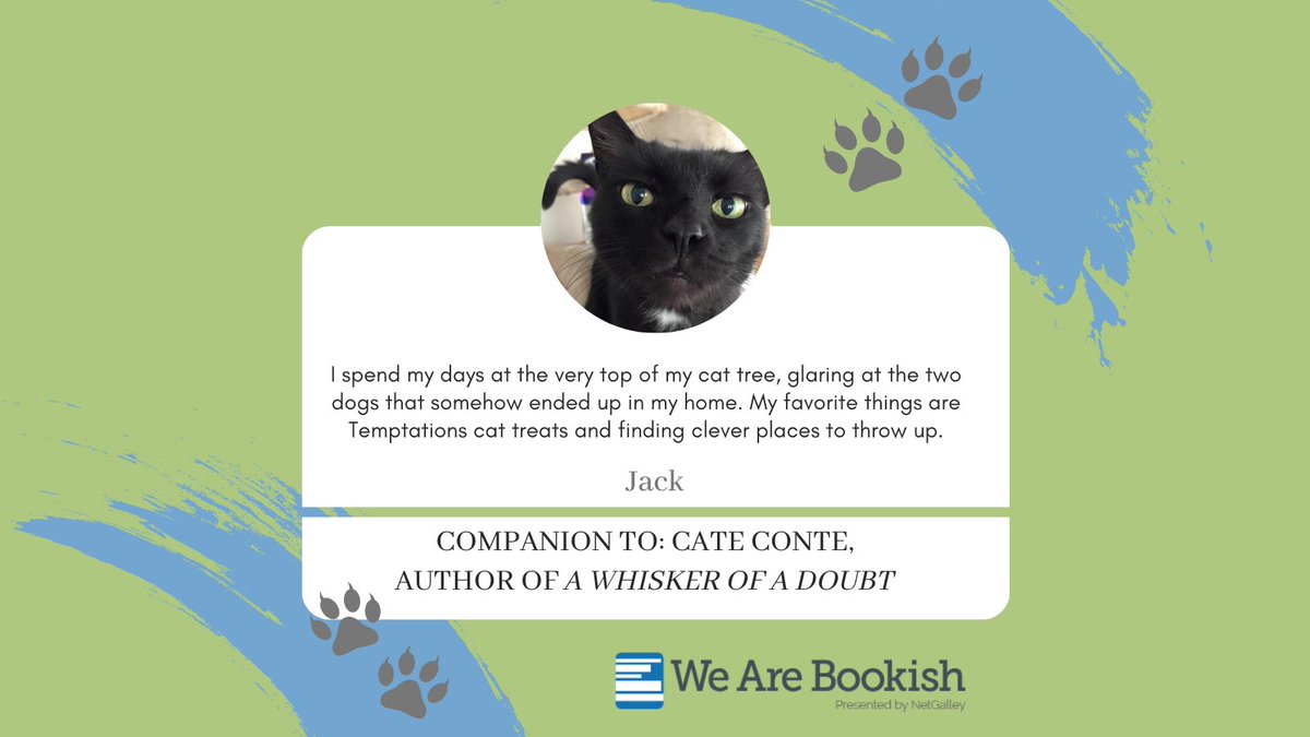 Meet Jack! Companion to: <a href="/Lizmugavero/">Liz Mugavero/Cate Conte</a>, author of A Whisker of a Doubt. Find out Jack's favorite book, the literary character he is most like, and his ranking as a writer's assistant here: ow.ly/fQfw50C640L #NationalCatDay