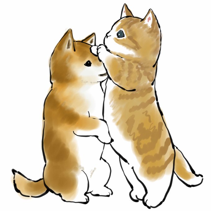 「柴犬」のTwitter画像/イラスト(人気順｜RT&Fav:50)｜2ページ目