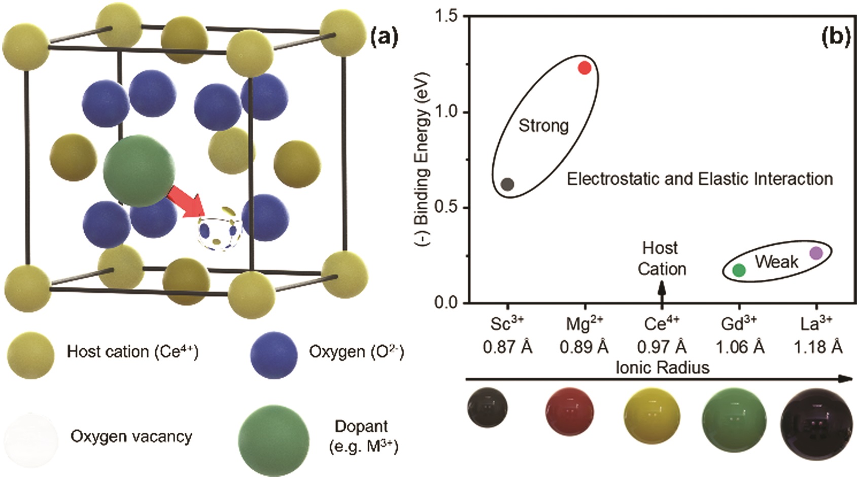 J Mater Chem Family New Advance Hot Article For Materials Advances Ahsanul Kabir Vincenzo Esposito Et Al Dtutweet Weizmannscience Exploring Electromechanical Dopant Defect Interaction In Acceptor Doped Ceria Dopants