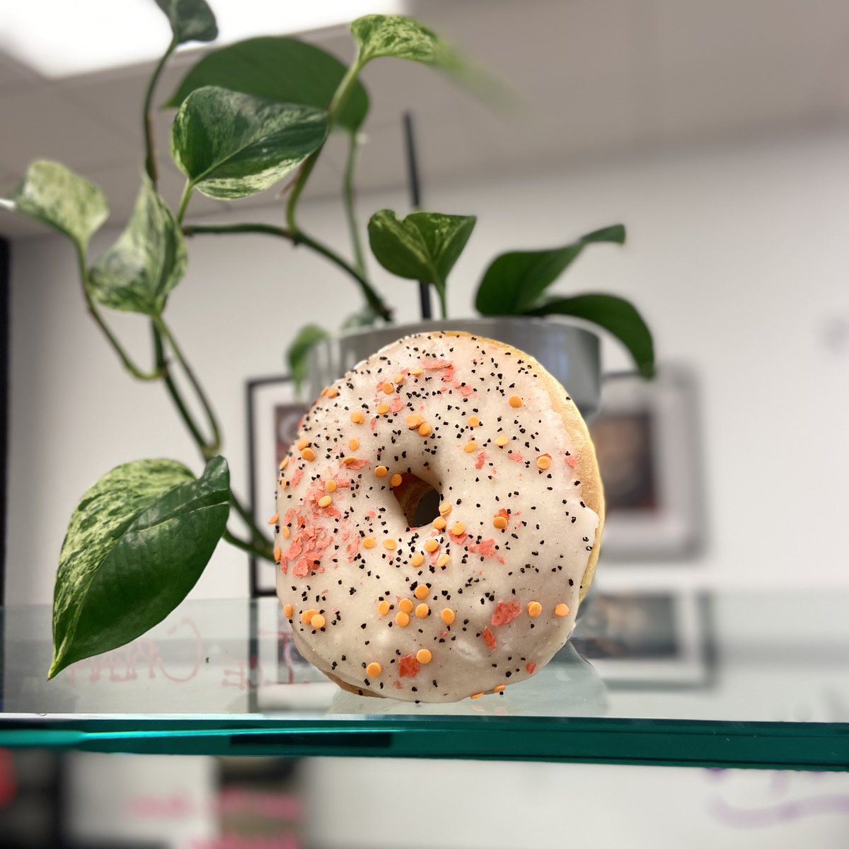 statusdoughnash's tweet photo. it’s spooky szn 👻✨ https://t.co/cZt7HHiRgx