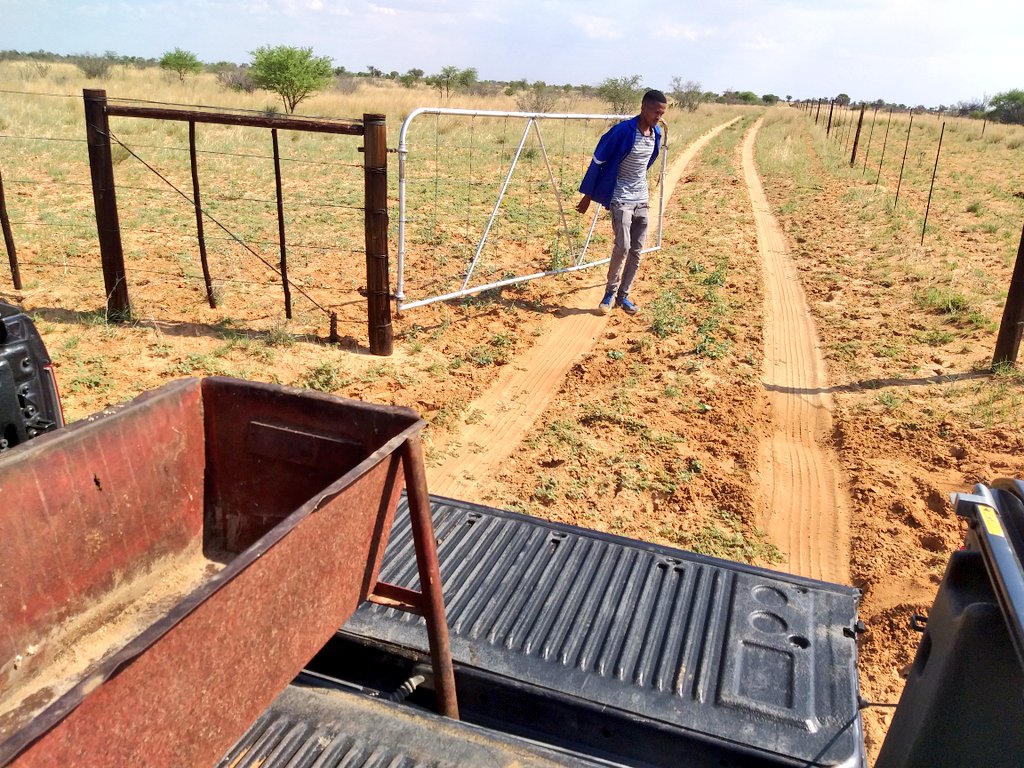 ThaboDithakgwe's tweet image. Nasi &apos;Stocko🕺🏽
#JohnVuliGateChallenge
#FarmingTwitter