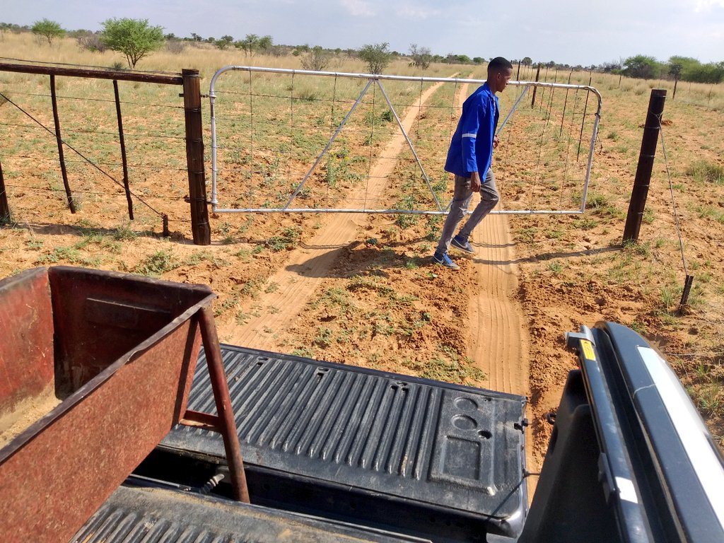 ThaboDithakgwe's tweet image. Nasi &apos;Stocko🕺🏽
#JohnVuliGateChallenge
#FarmingTwitter