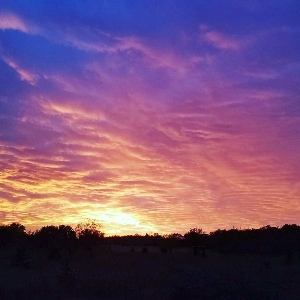 DCTrolley's tweet image. There is something special about a #DoorCounty sunset.