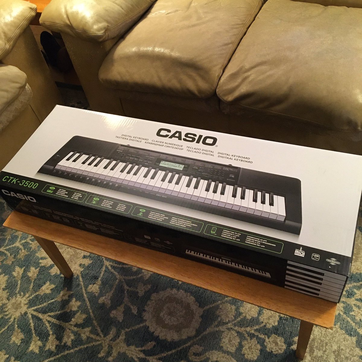 imhausman1's tweet image. Baby has arrived

#casio #casiokeyboard #music