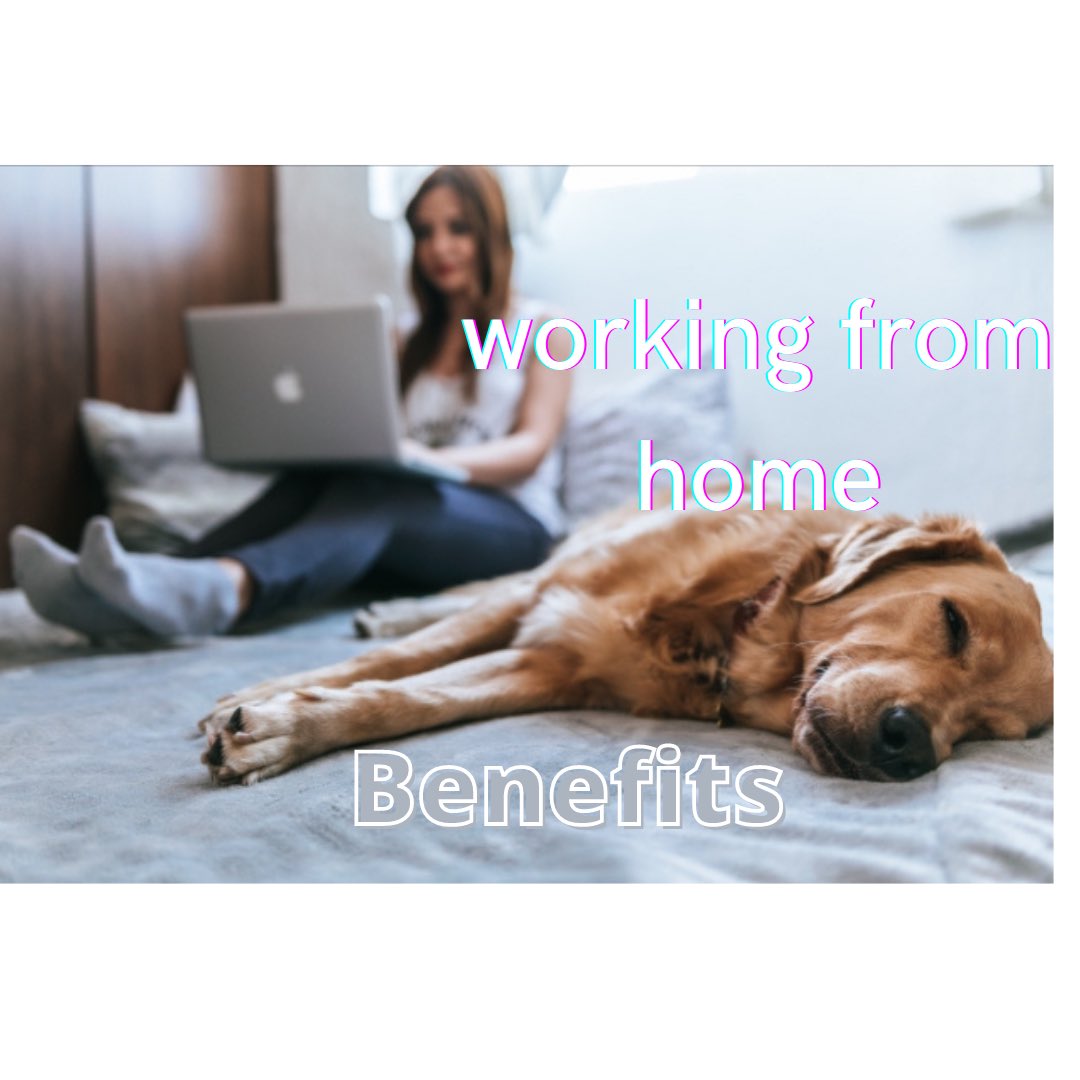 EcoOvenCleaning's tweet photo. Eco Oven Cleaning working whilst you work.
Book online https://t.co/Cuq6rXBffS #southwales #wales #welsh #business #newport #langstone #penhow #wentwood #chepstow https://t.co/SuXaA0oSKj
