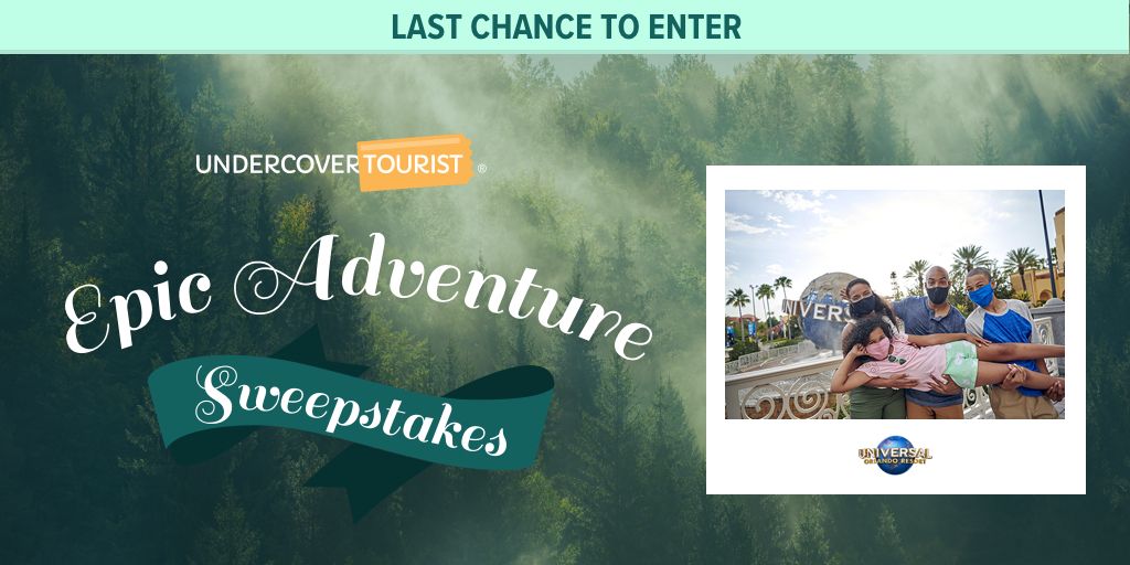 ThemeParkFrog's tweet photo. 2 days left‼️  Enter to win a thrilling 3-night family vacation to #UniversalOrlando for 4 people, which includes hotel and tickets! https://t.co/MvO4gKvefO #Sweepstakes #TravelGiveaway https://t.co/pG21jHWFdw