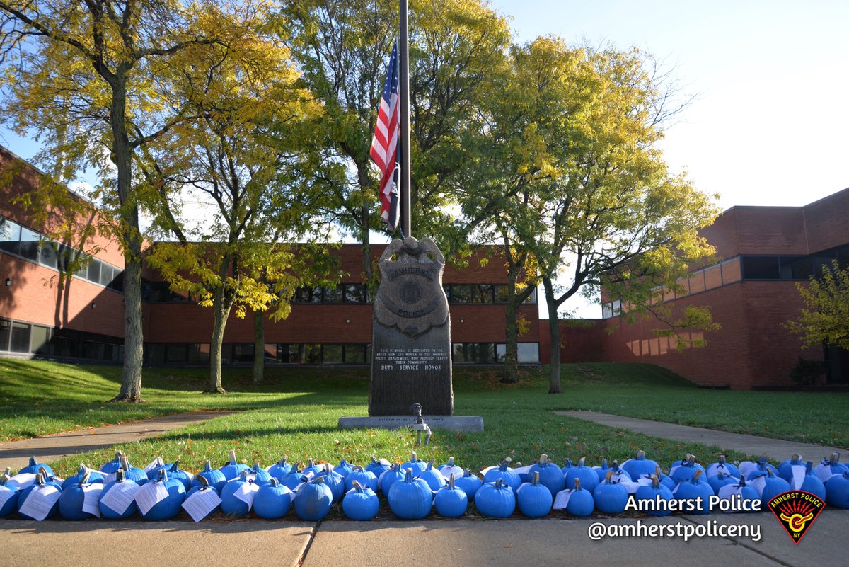 amherstpoliceny's tweet photo. [AMHERST POLICE, NY] -- Thank you to those who painted and donated the blue pumpkins that were left at the front of our police headquarters.  These were donated for our officers and their families. Thank you for your support.  💙🎃 https://t.co/7Agx2mh3sY