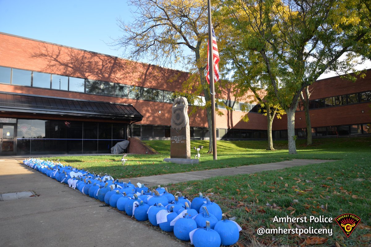 amherstpoliceny's tweet photo. [AMHERST POLICE, NY] -- Thank you to those who painted and donated the blue pumpkins that were left at the front of our police headquarters.  These were donated for our officers and their families. Thank you for your support.  💙🎃 https://t.co/7Agx2mh3sY