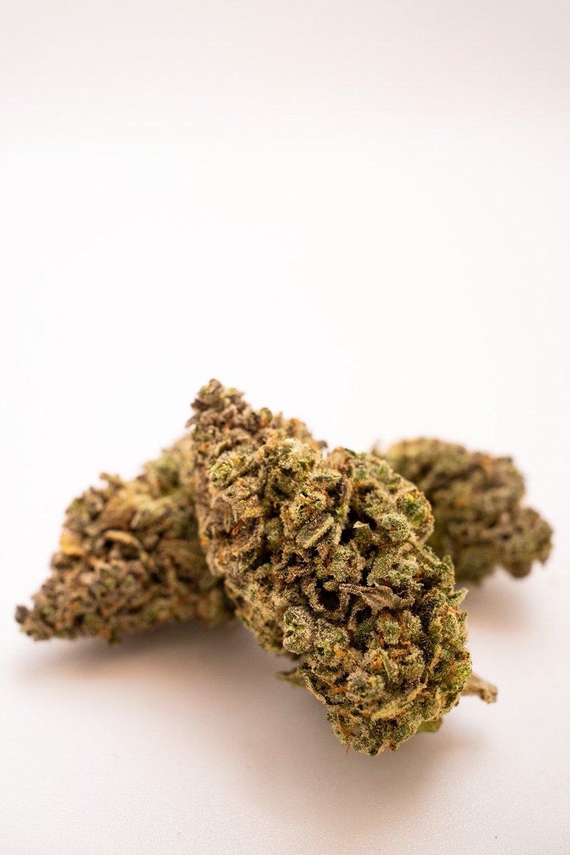 drgreenthumbth's tweet photo. #BUDBOOK
#Drgreenthumb #Cannahoney
#Growstone #CannabisMedicinal 
#GreenthumbGrowtip
#cannabis
#Weed 
#CannabisCommunity 
#ปลูกกัญชาถูกกฎหมาย
#กัญชาออแกนิค
#กัญชารักษาโรค
#กัญชาเพื่อการแพทย์
#กัญชานอก 
#กัญชา https://t.co/HiJ3S7IZRi