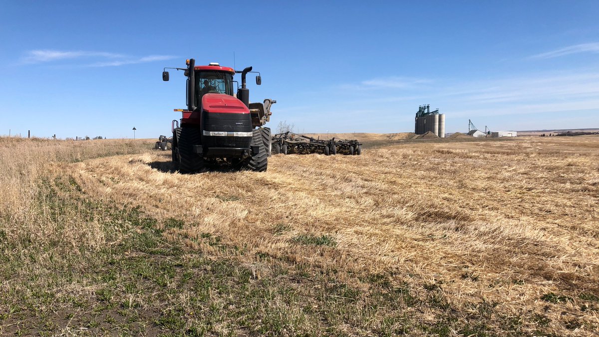 The growing project around our facility in Trochu wrapped up earlier this month, with all proceeds from the harvested crop being donated to <a href="/foodgrains/">Canadian Foodgrains Bank</a>. Proceeds will be used in their efforts to #endhunger around the globe!

Learn more: bit.ly/3684s9R
#cdnag #westcdnag