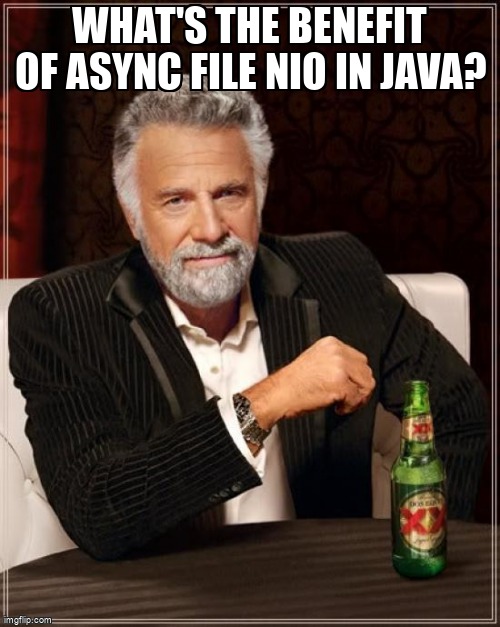 overflow_meme's tweet image. What's the benefit of Async File NIO in Java? stackoverflow.com/questions/6284… #java #nio #javaio #asynchronous