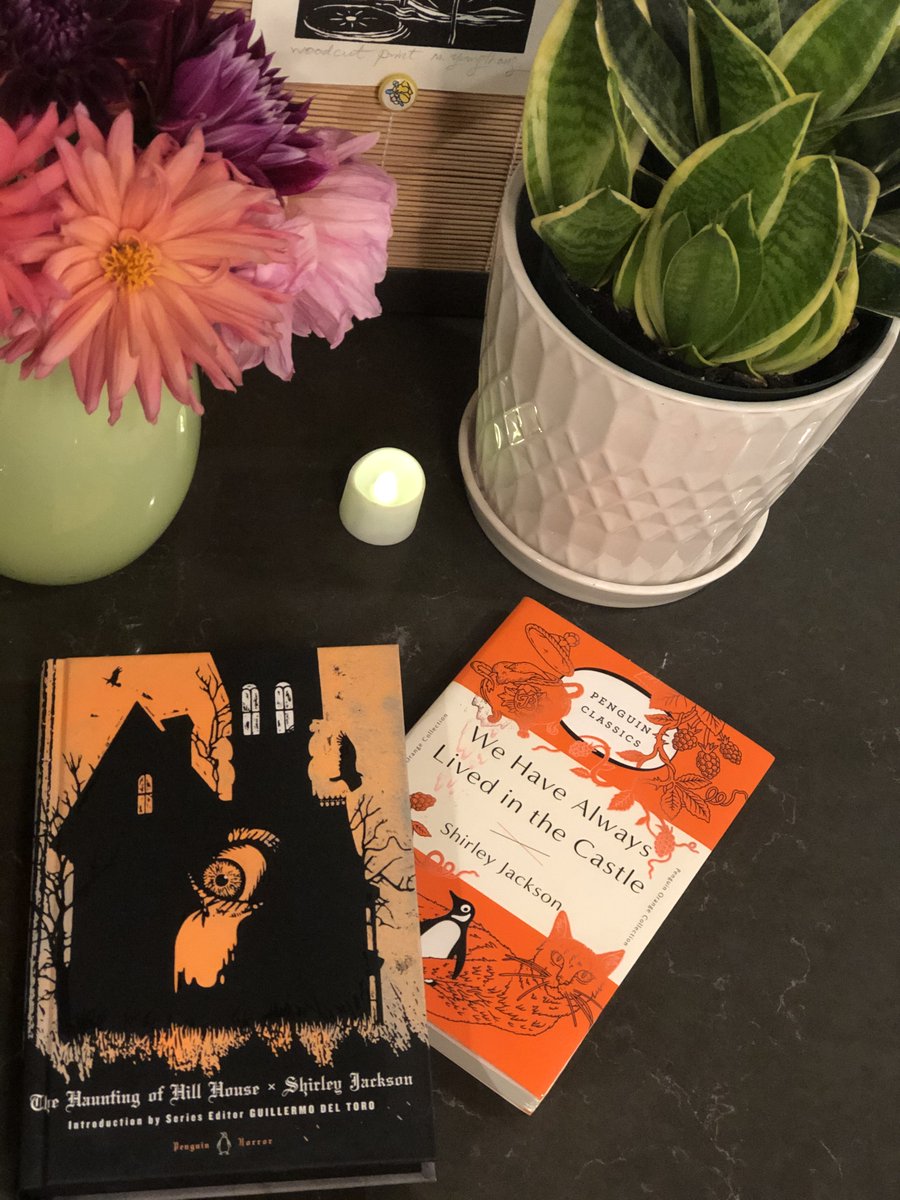 The tradition of writing serious literature through a Gothic lens continues through the Brontes, du Maurier, Flanney O'Connor, the mighty Shirley Jackson, and Gillian Flynn. These writers brought horror inside the home, which is where many women have always found it.