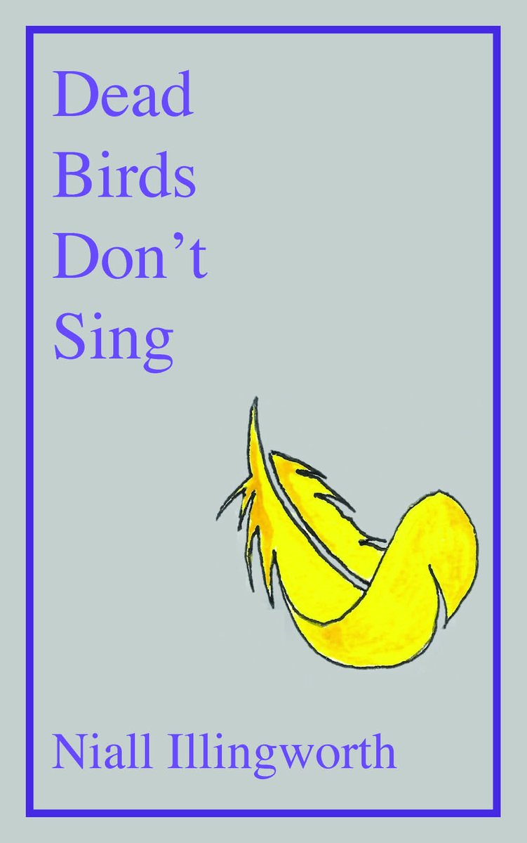 Dead Birds Don't Sing by Niall Illingworth Murder, mystery and suspense in rural West Virginia #MurderMystery, #suspense #crimenovel
