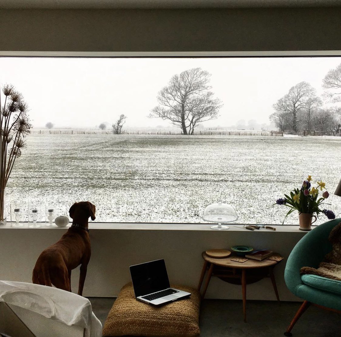 LtdAnglezarke's tweet photo. Lancashire!!🚜 Look at this fantastic picture window🤩🤩 All designed &amp; manufactured in house and installed by Anglezarke Designs Ltd... Fab photos showing the different views @superdogsasha gets to see🥰 #bespokedesign #bespokeglazing #glass https://t.co/8epcCNzsuW