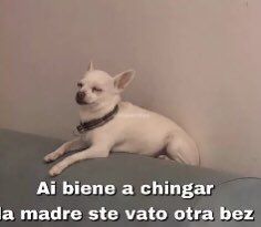 Yo: veo un giveaway en el que voy a etiquetar a mis amigos 
Mis amigos: