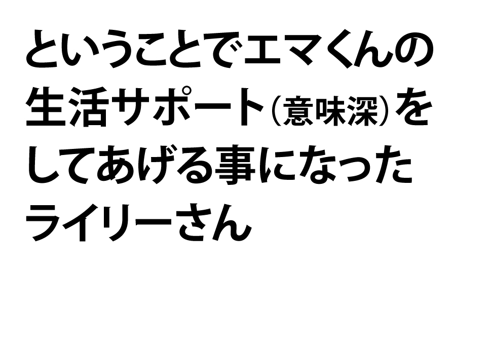 【11/1残ハル2 ♂庭弁新刊サンプル②】 