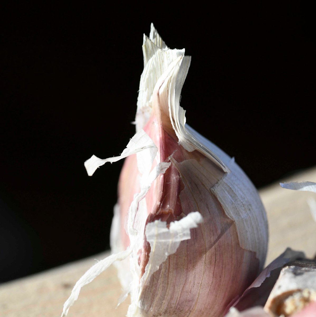 SeedLinked's tweet photo. Planted #garlic last weekend!
First 2 pics are #GeorgianCrystal, last 2 pics are our regional favorite saved by friends and fondly known as #KrattigerRed! #growgarlic #veggielove https://t.co/InQlTyYrjM