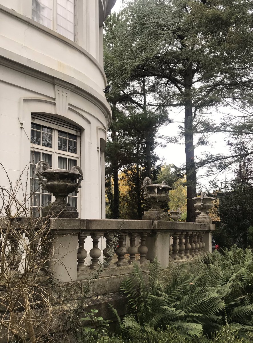 (On)Benut Breda tweet media