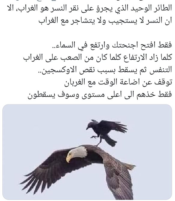 نسر الغراب